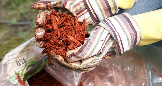 proper mulching - aaa tree experts - charlotte nc