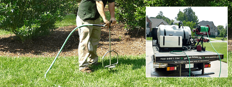 root fertilization - aaa tree experts - charlotte nc