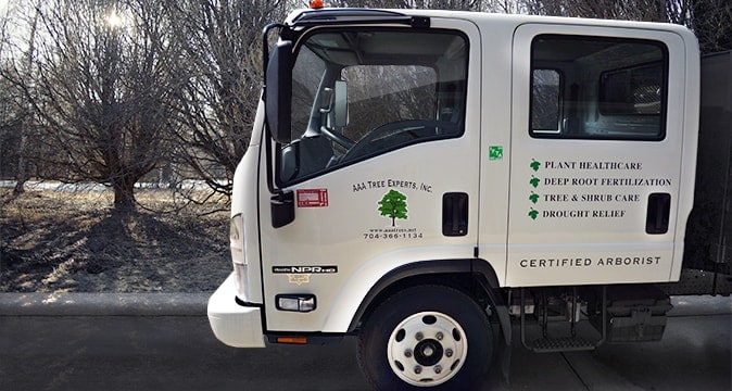 spring pruning - aaa tree experts - charlotte nc