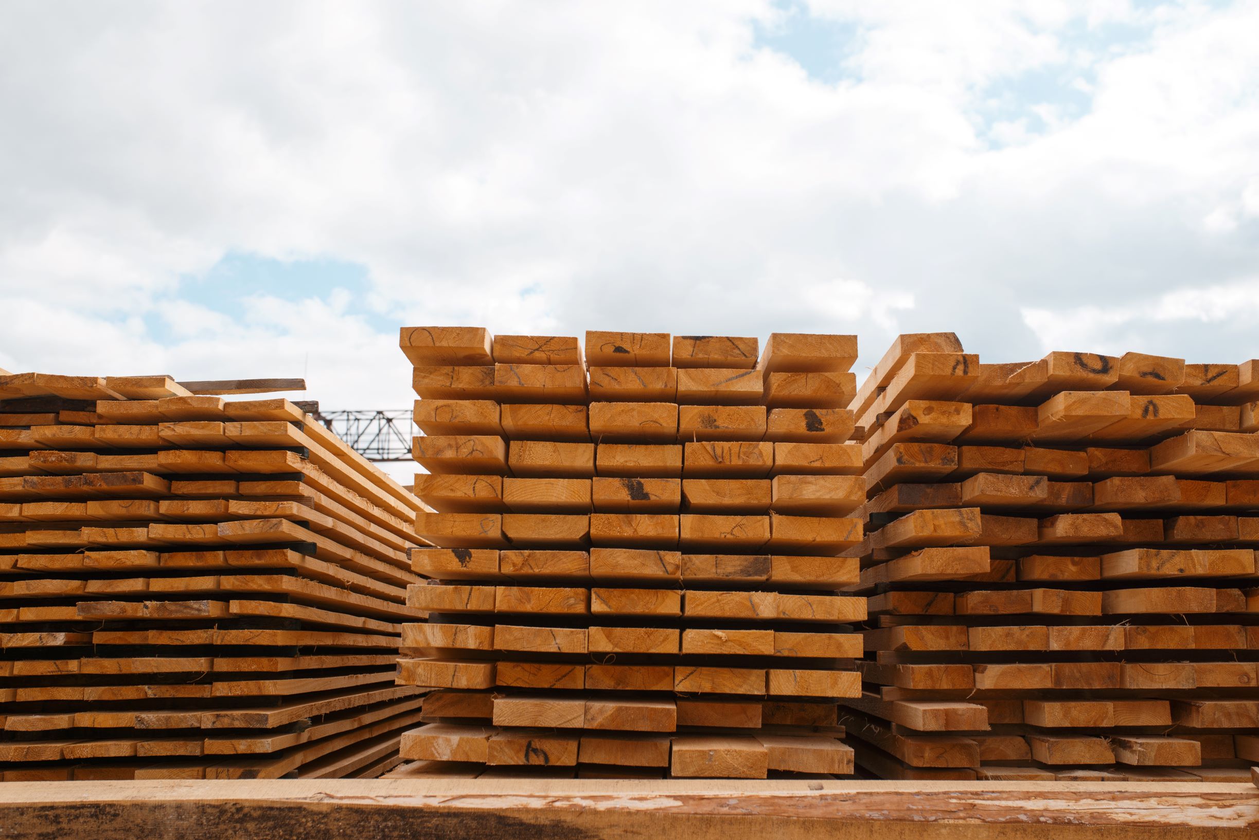 Timber