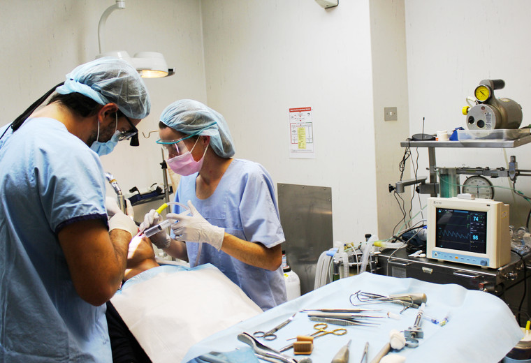 wisdom teeth removal surgery - wisdom teeth removal sydney professionals - sydney