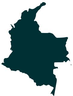 continet icon