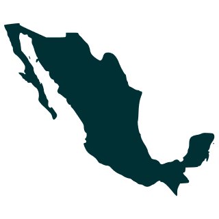 continet icon