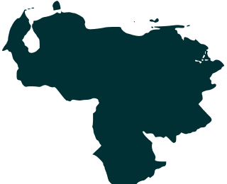 continet icon