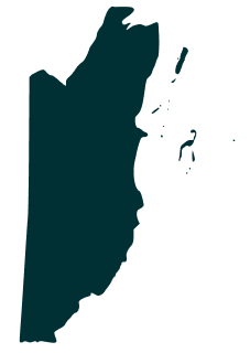 continet icon
