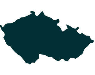 continet icon