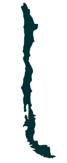 continet icon