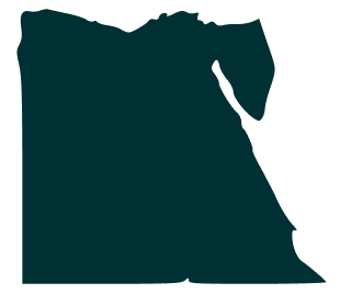 continet icon