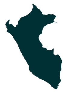 continet icon
