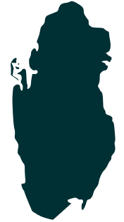 continet icon