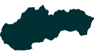 continet icon