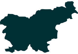 continet icon