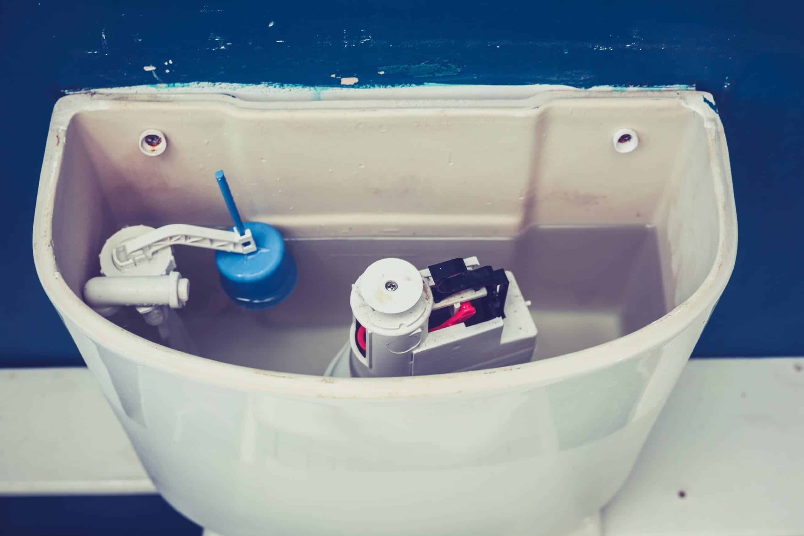 Toilet flapper flush valve Toilet flapper flush valve