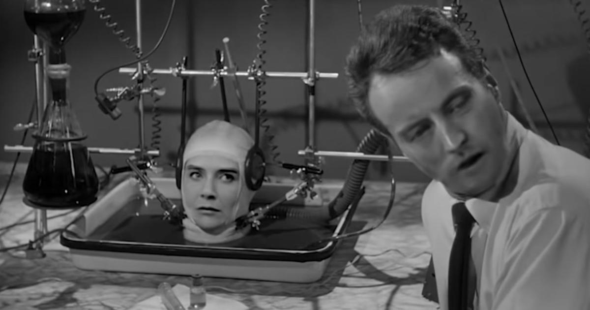 883463-vtcbpcdtkh-1529581695 (1).jpeg