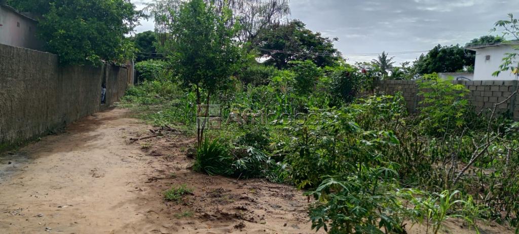 Terreno 15/30 Disponível