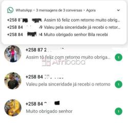 Serviço de fumigacao e controlo de pragas