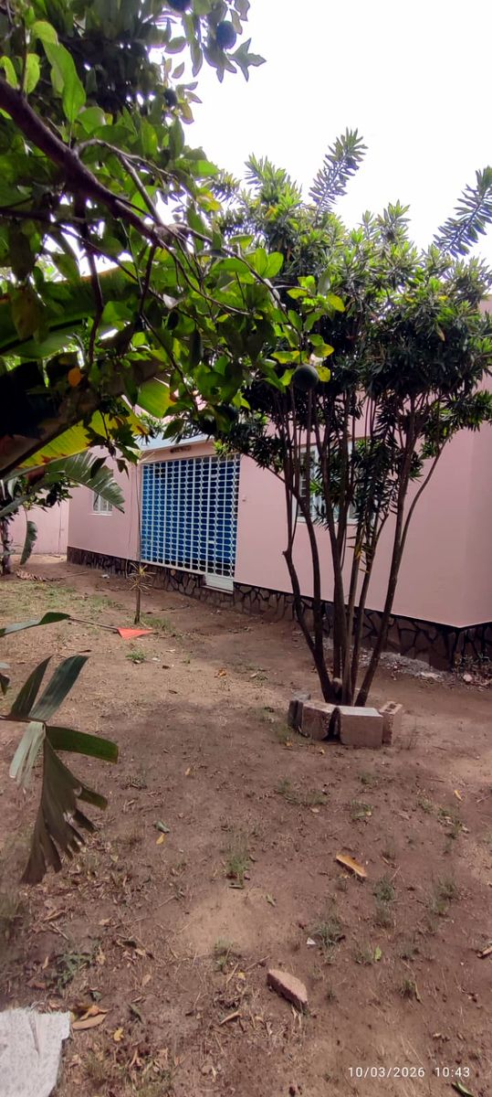 Moradia T3 com teto falso cobertura chapa