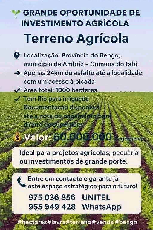 Vende-se imediatamente 1.000Hectares agrícola no Bengo, preço: 60milhões de kz