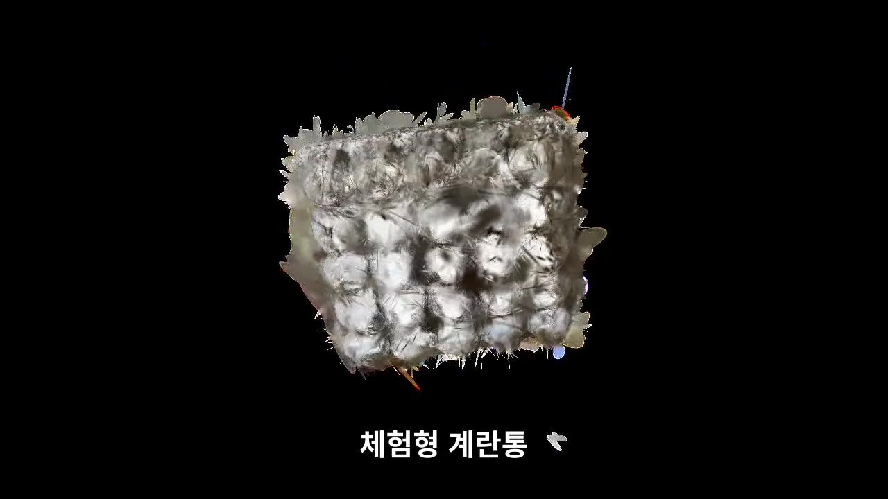 체험형 계란통