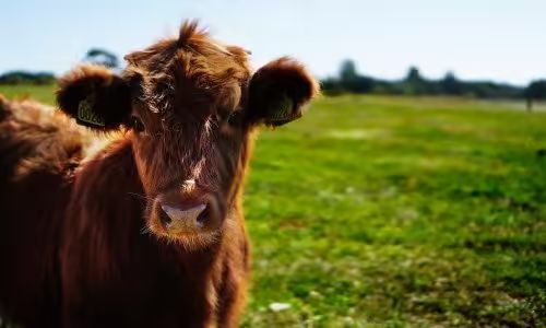 Flüsse Seen Projekt - A