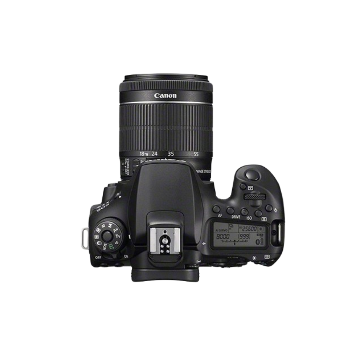 Canon EOS 90D en utilisation extérieure, parfait pour la photographie de paysage ou de sport