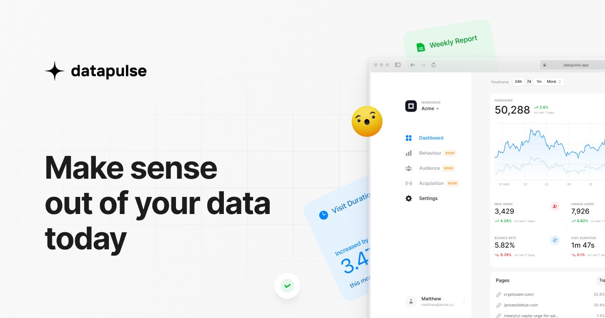 OG Image for datapulse.app