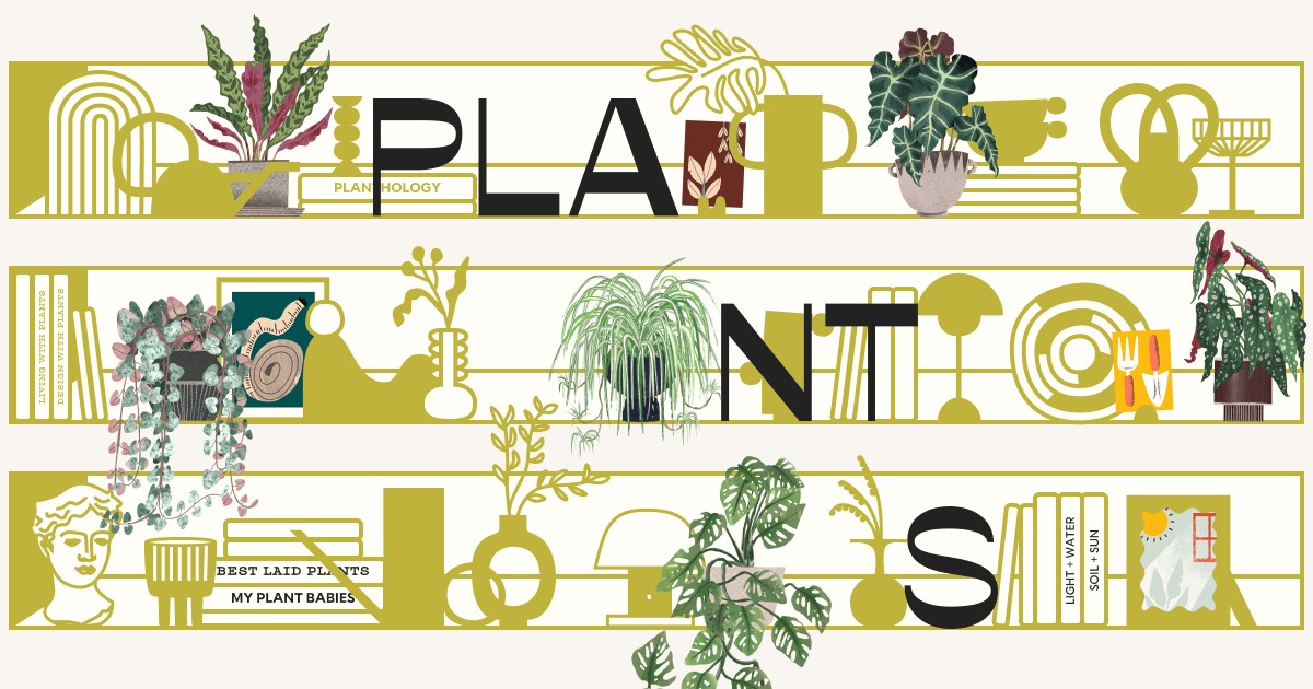 OG Image for howmanyplants.com