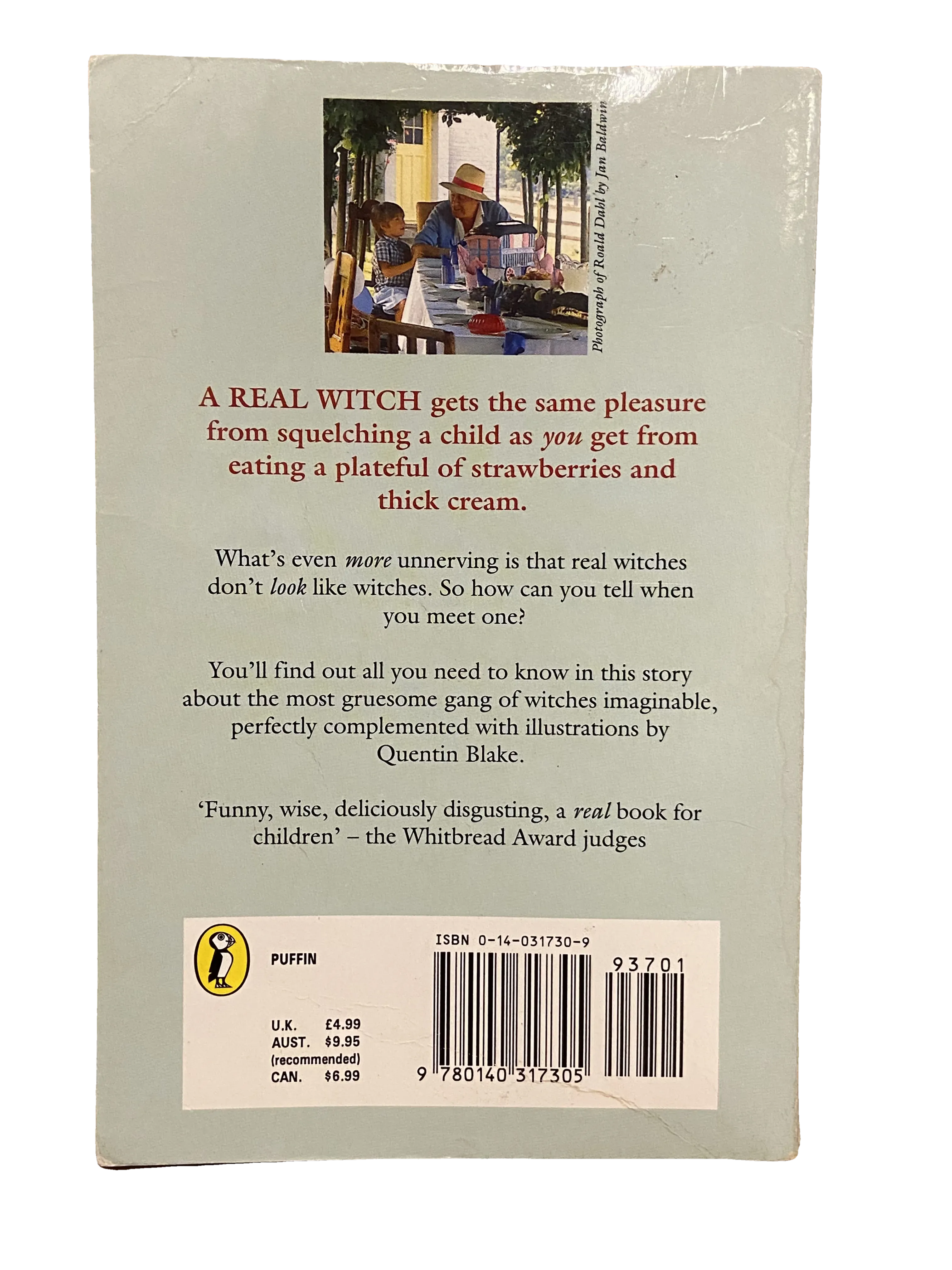 The Witches by Roald Dahl, Fair condition, back cover