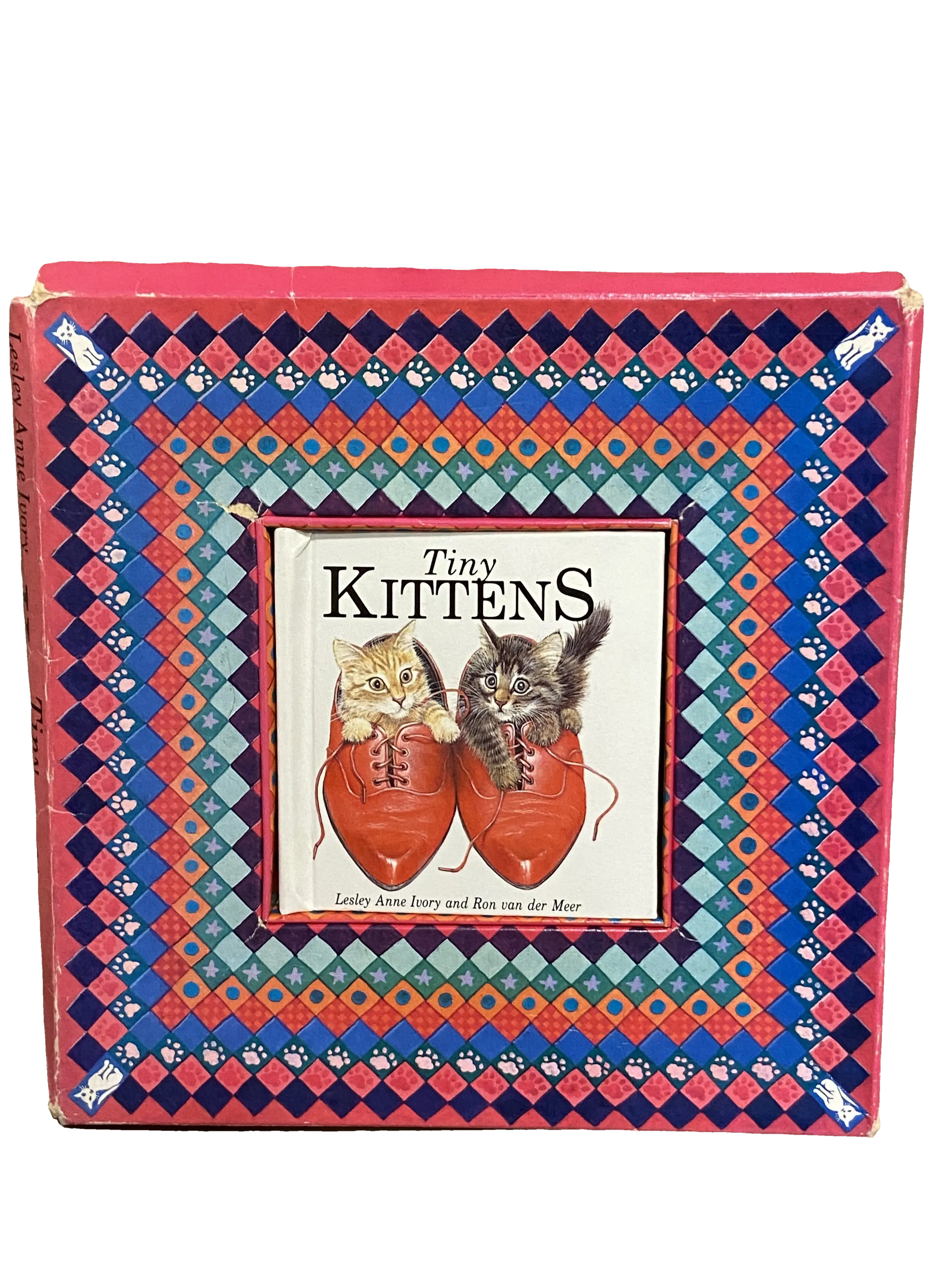 Tiny Kittens by Lesley Anne Ivory and Ron van der Meer, Fair condition, front cover