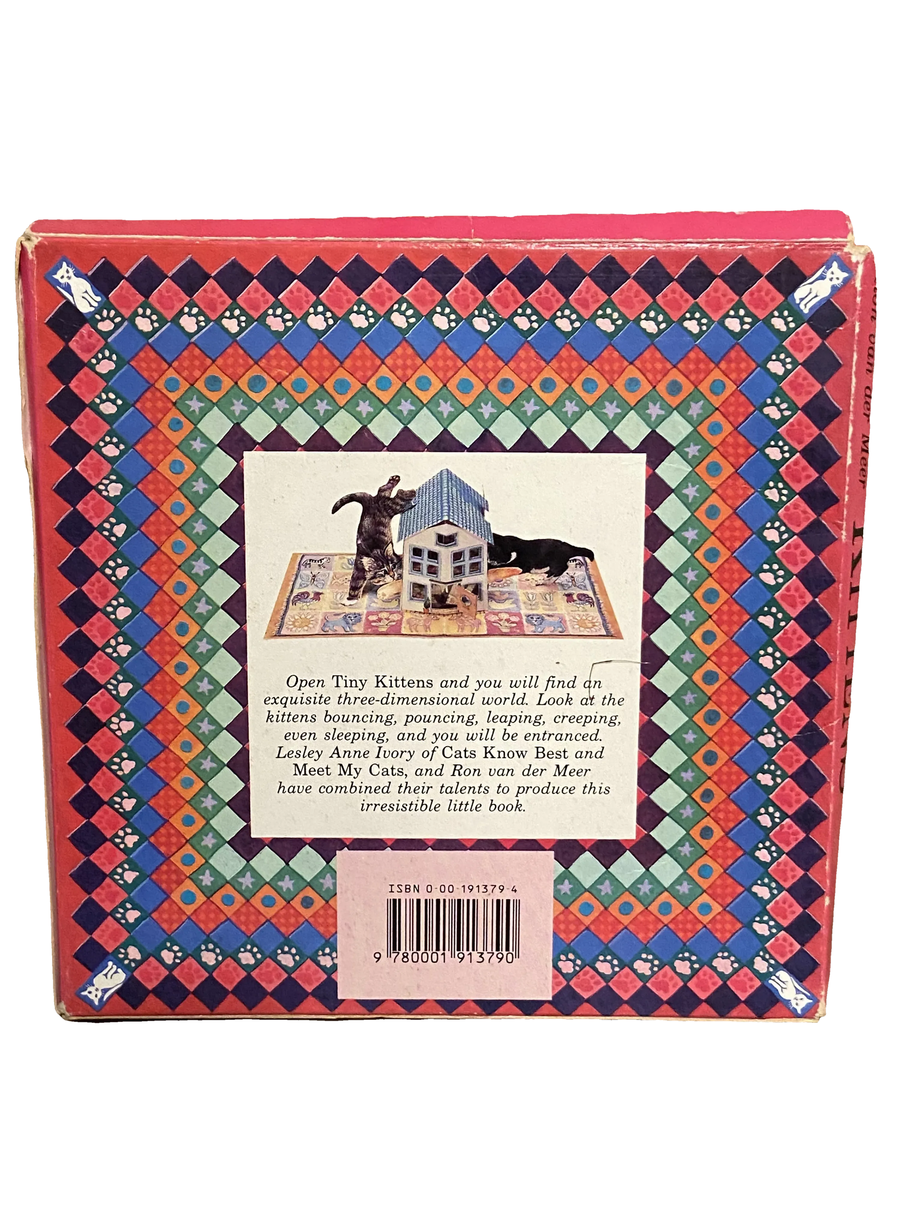 Tiny Kittens by Lesley Anne Ivory and Ron van der Meer, Fair condition, back cover