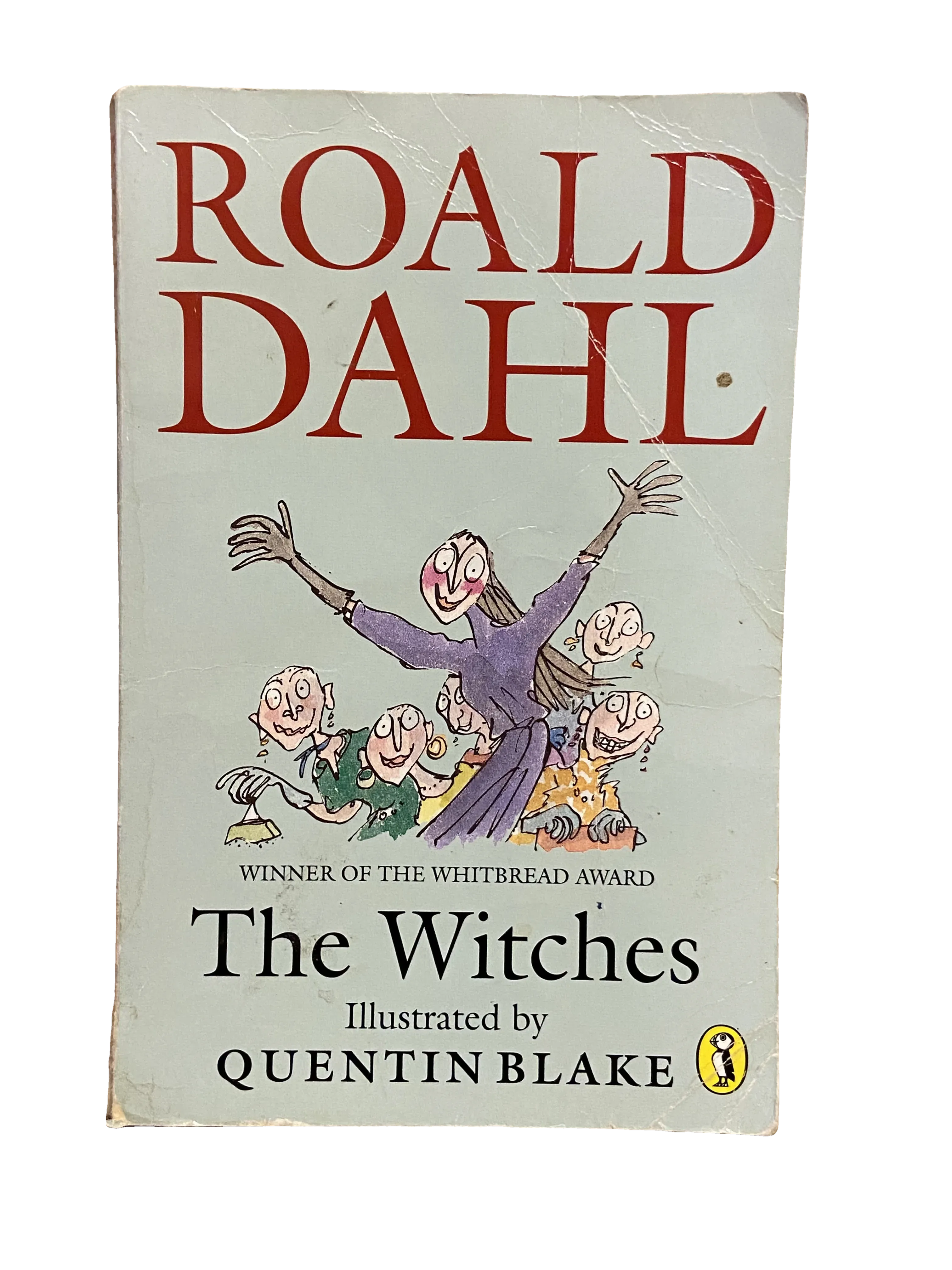 The Witches by Roald Dahl, Fair condition, front cover