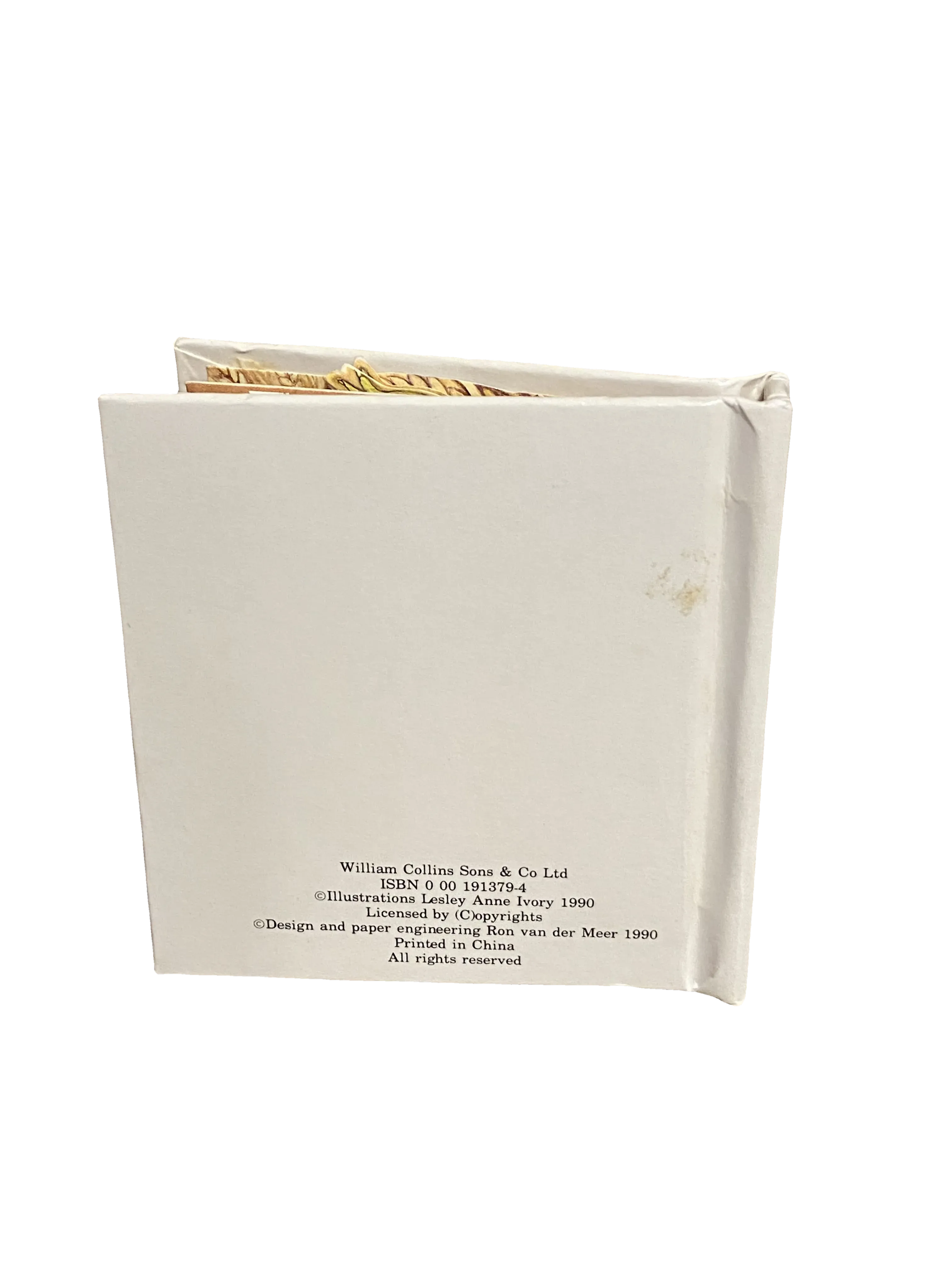 Tiny Kittens by Lesley Anne Ivory and Ron van der Meer, Good condition, back cover