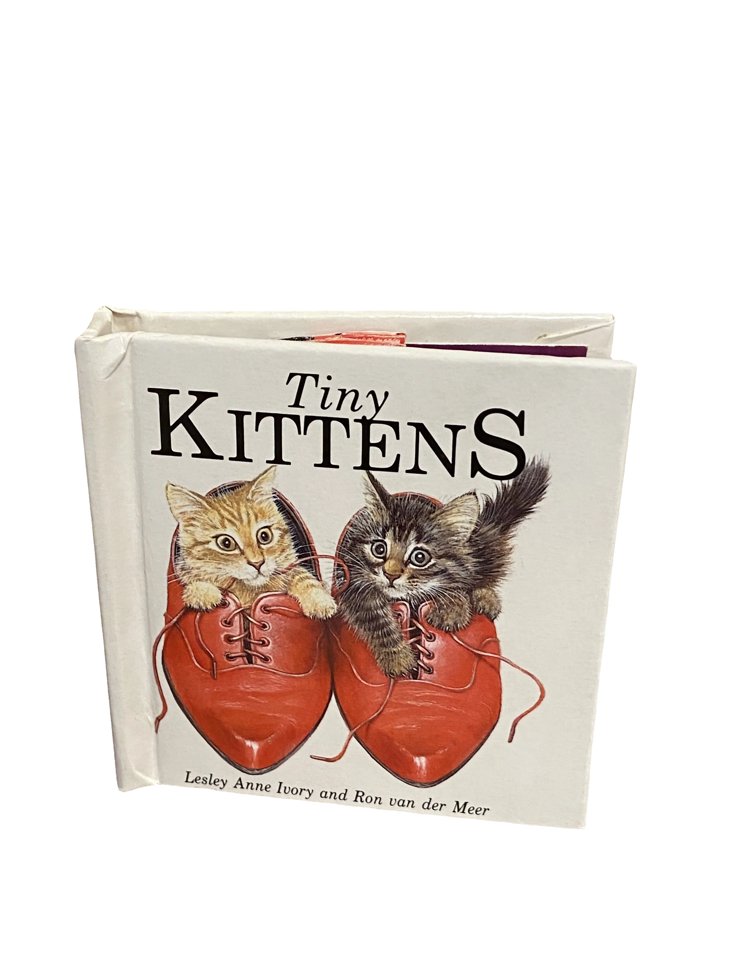 Tiny Kittens by Lesley Anne Ivory and Ron van der Meer, Good condition, front cover