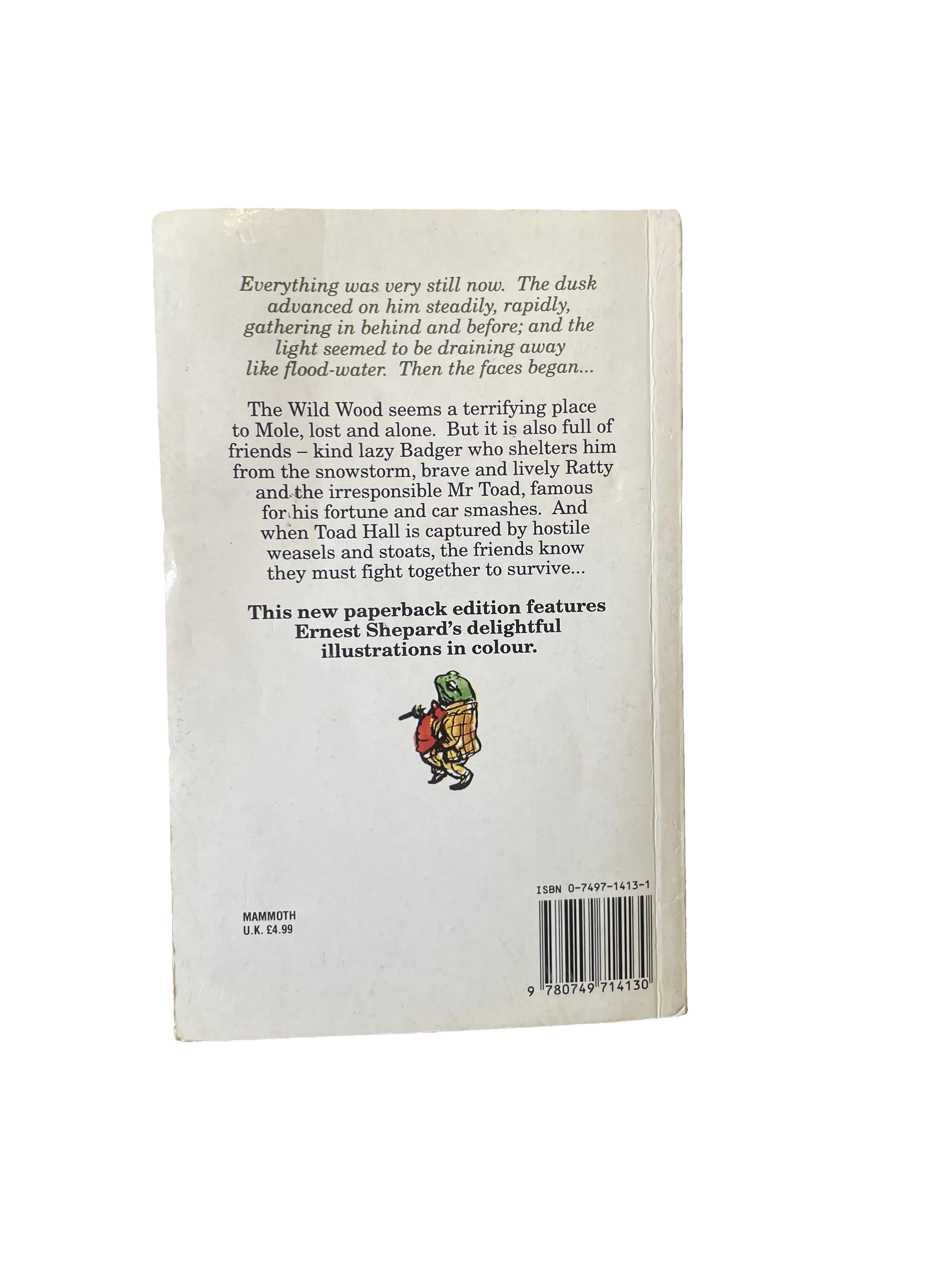 The Wind in the Willows by Kenneth Grahame, Good condition, back cover