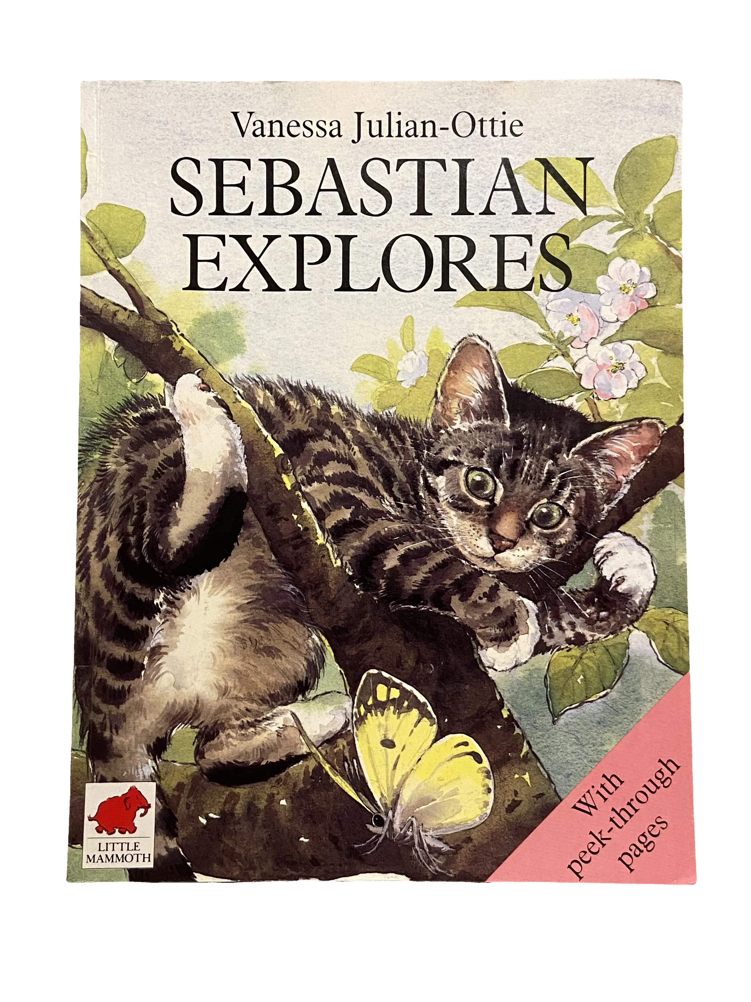Sebastian Explores by Vanessa Julian-Ottie, Good condition, front cover