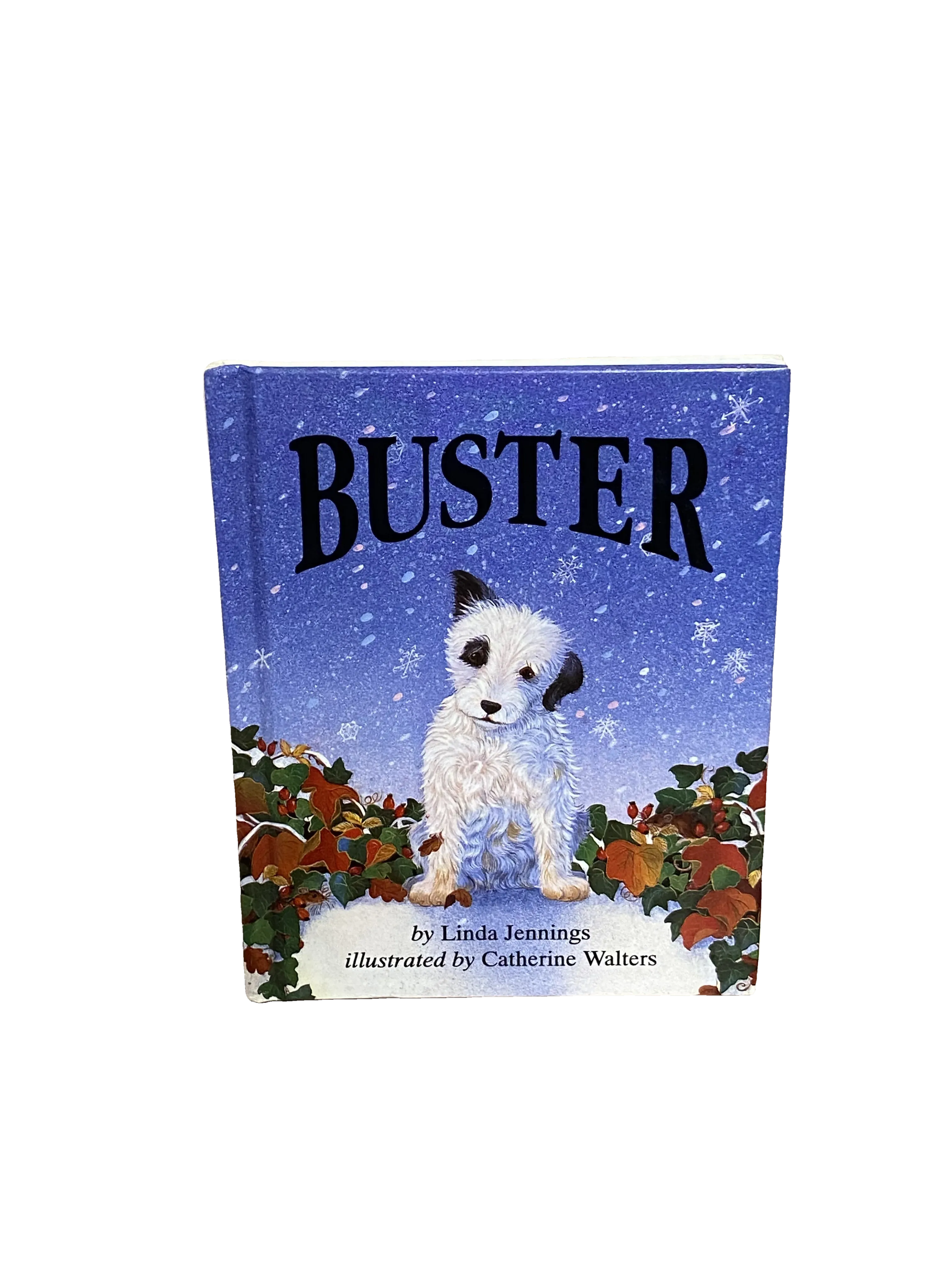 Buster by Linda Jennings, Very Good condition, front cover