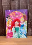 Disney Princess Annual 2014 front cover