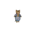 The Complete Adventures of Tom Kitten and His Friends by Beatrix Potter, Fair condition, back cover