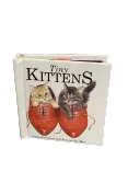 Tiny Kittens by Lesley Anne Ivory and Ron van der Meer, Good condition, front cover