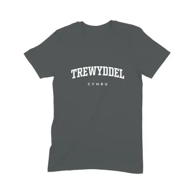 Trewyddel T Shirt (Varsity) - Image 2