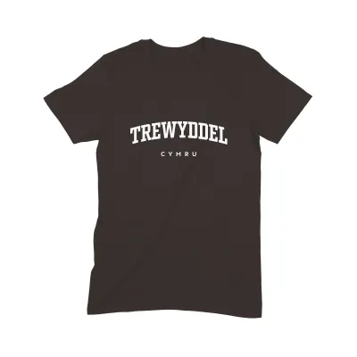 Trewyddel T Shirt (Varsity) - Image 3