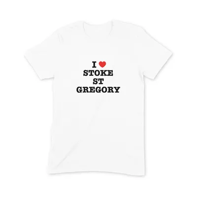I Love Stoke St Gregory T Shirt - Image 3