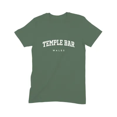 Temple Bar T Shirt (Varsity) - Image 4