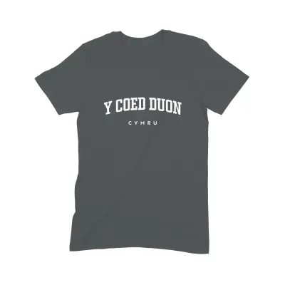 Y Coed Duon T Shirt (Varsity) - Image 2