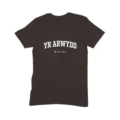 Yr Arwydd T Shirt (Varsity) - Image 3