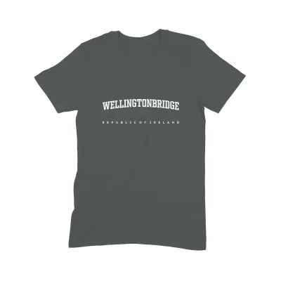 Wellingtonbridge T Shirt (Varsity) - Image 2
