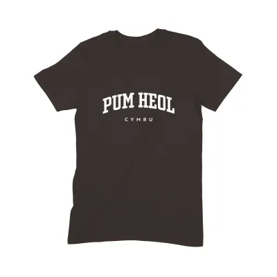 Pum Heol T Shirt (Varsity) - Image 3