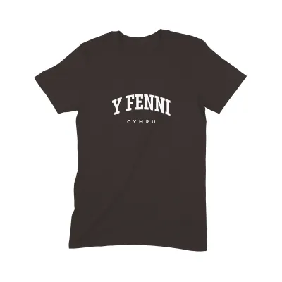 Y Fenni T Shirt (Varsity) - Image 3