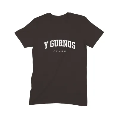 Y Gurnos T Shirt (Varsity) - Image 3
