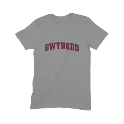 Gwynedd Varsity T-Shirt - Image 3